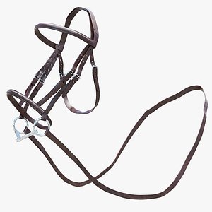 Horse Bridle