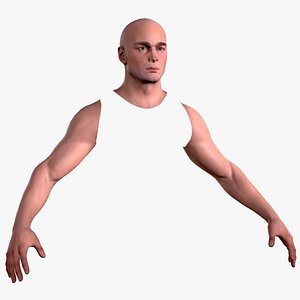 Realistic Male Head and Two Arms