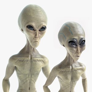 Male and Female Grey Alien Set 2