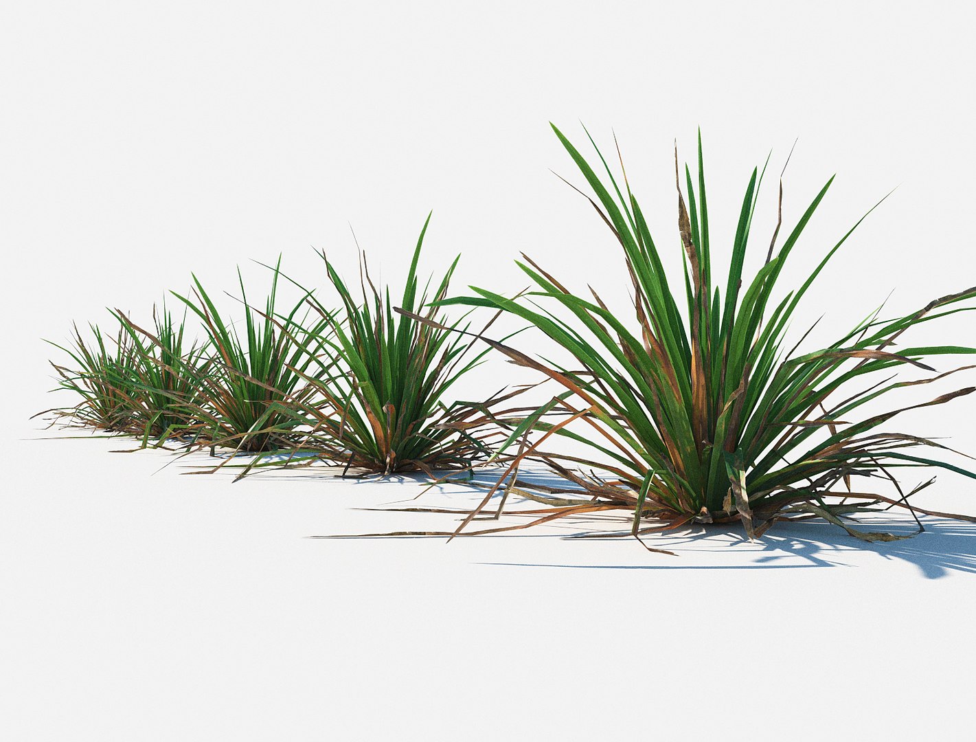 Simple Grass 3D Model - TurboSquid 1157780
