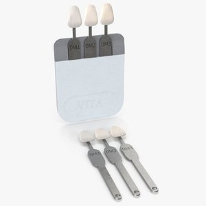 VITA Bleached Shades model