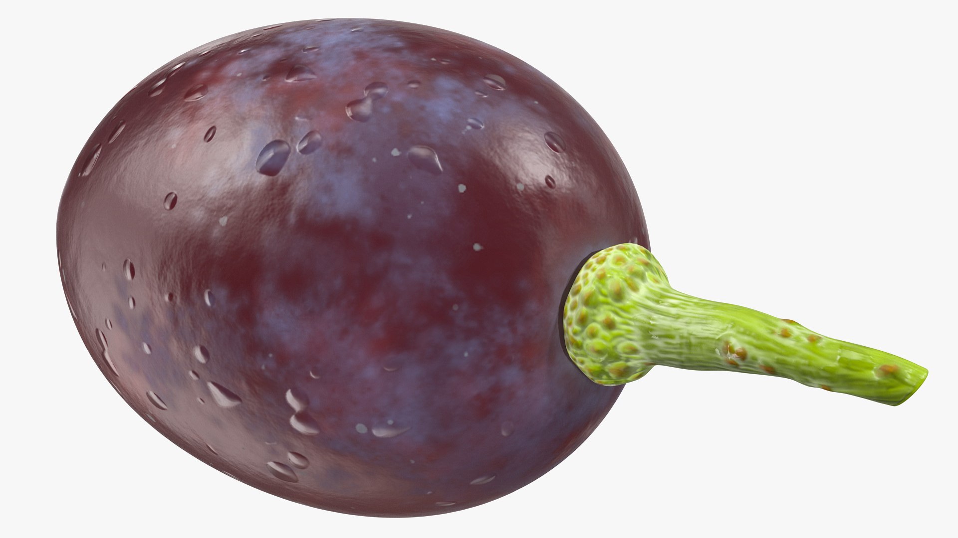 dark grapes 3D model https://p.turbosquid.com/ts-thumb/AT/OyqxwI/IqaSC8N8/darkgrapes3dmodel008/jpg/1580374942/1920x1080/fit_q87/c34178e08184634856eaa0091bb097f04edfa1f5/darkgrapes3dmodel008.jpg