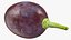 dark grapes 3D model