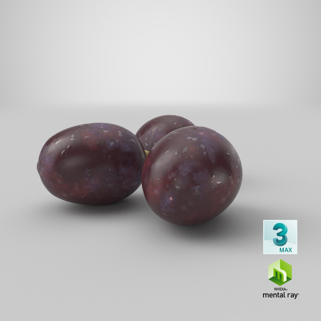 dark grapes 3D model https://p.turbosquid.com/ts-thumb/AT/OyqxwI/QM/stemcell_max_mental_ray_render/png/1634971282/1920x1080/fit_q87/dd015d75e91b4d205f349fca777df88270c44e23/stemcell_max_mental_ray_render.jpg