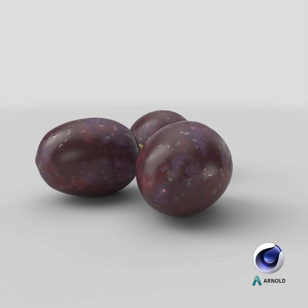 dark grapes 3D model https://p.turbosquid.com/ts-thumb/AT/OyqxwI/Sd/stemcell_cinema_4d_arnold_render/png/1634971279/1920x1080/fit_q87/b42fcfb5bf6fe64bb981e919a43b8a0c37259041/stemcell_cinema_4d_arnold_render.jpg