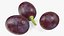 dark grapes 3D model