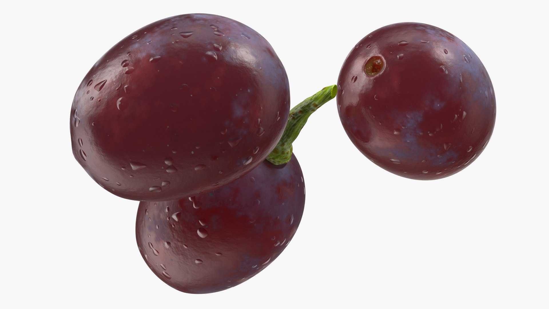 dark grapes 3D model https://p.turbosquid.com/ts-thumb/AT/OyqxwI/oMoDMgrY/darkgrapes3dmodel006/jpg/1580374932/1920x1080/fit_q87/ec811ce0930911b97e9e10ec6b99be4967eb66f5/darkgrapes3dmodel006.jpg