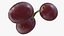 dark grapes 3D model