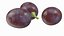 dark grapes 3D model