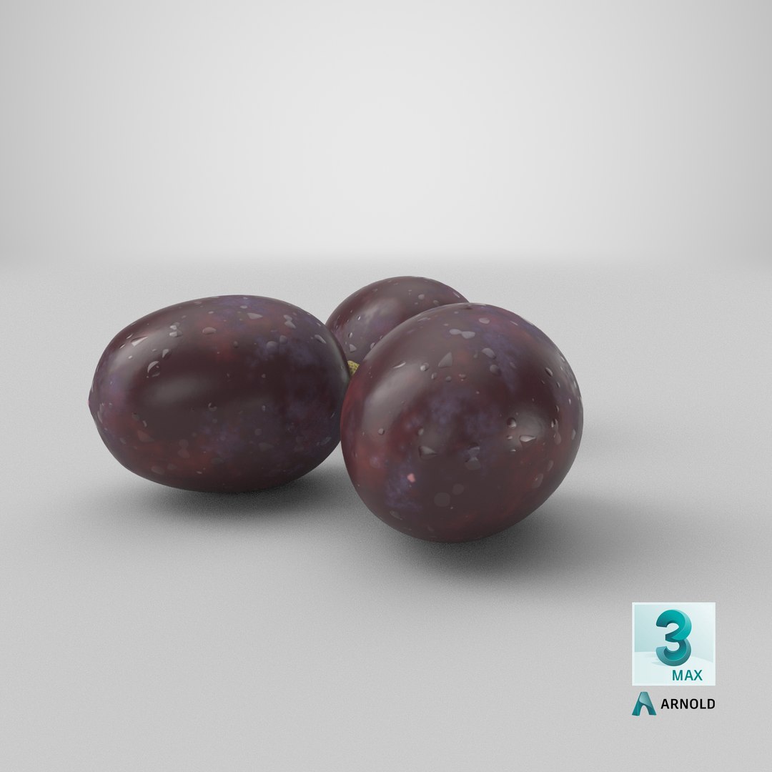 dark grapes 3D model https://p.turbosquid.com/ts-thumb/AT/OyqxwI/zk/stemcell_max_arnold_render/png/1634971281/1920x1080/fit_q87/4396a00b67ccdeeab9be97066325e18607077f32/stemcell_max_arnold_render.jpg