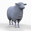 sheep