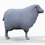 sheep