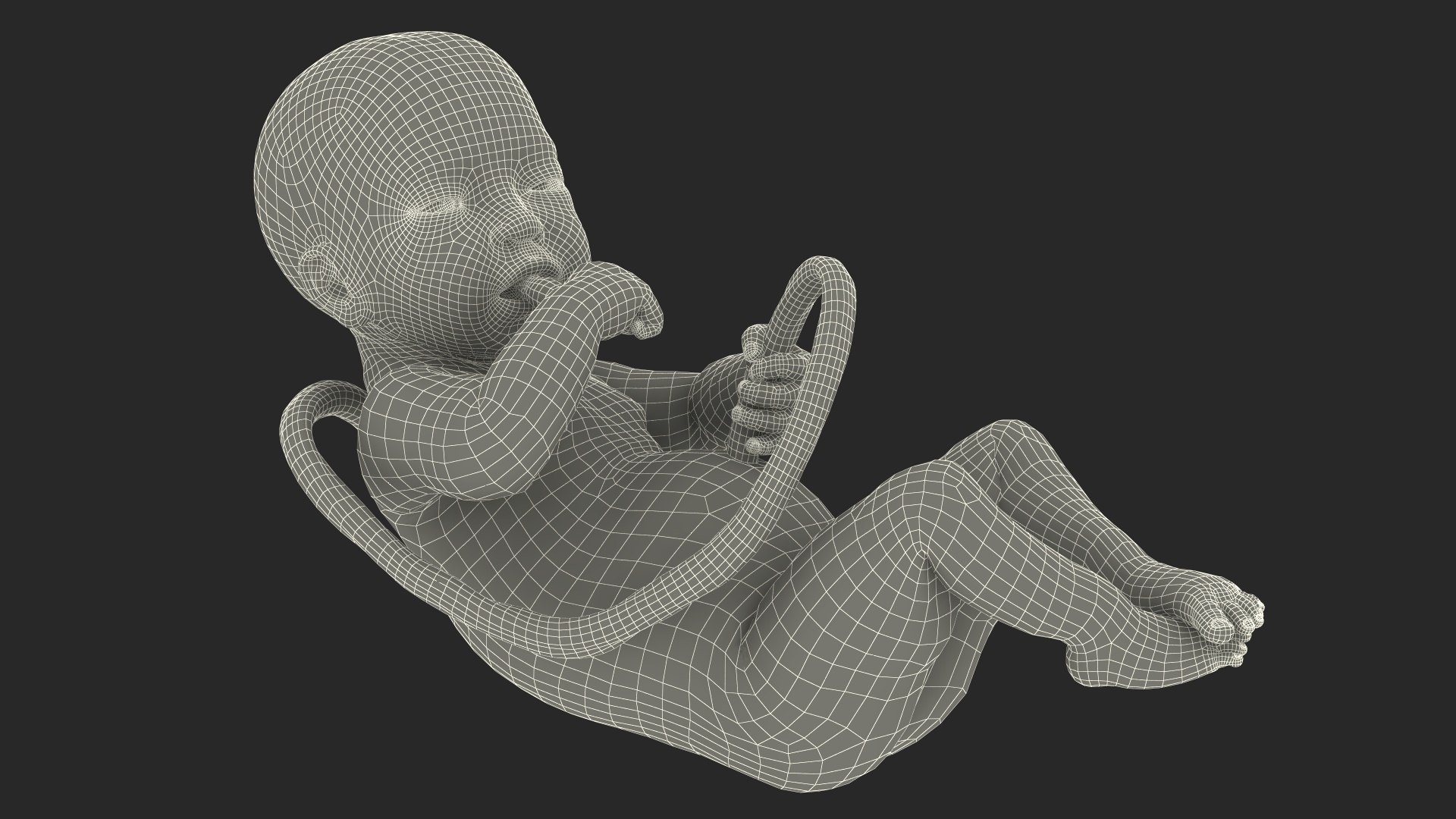 Installation Artificial Uterus 3D model https://p.turbosquid.com/ts-thumb/AT/gpcqbE/Cy/installationartificialuterus3dmodel033/jpg/1692212581/1920x1080/fit_q87/451d97c6ee4123f96411015a23a4363526c8ae0a/installationartificialuterus3dmodel033.jpg