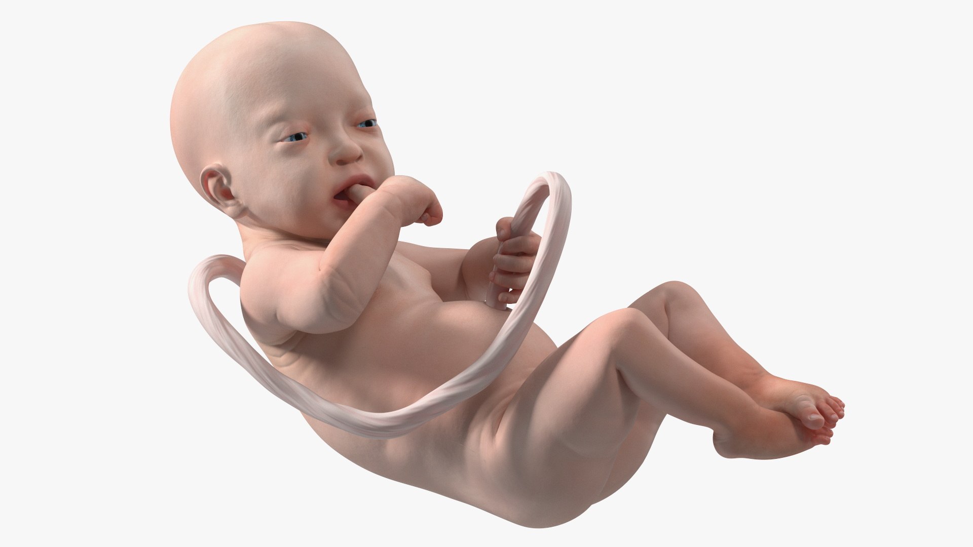 Installation Artificial Uterus 3D model https://p.turbosquid.com/ts-thumb/AT/gpcqbE/SN/installationartificialuterus3dmodel010/jpg/1692212496/1920x1080/fit_q87/205f03b2c6e8877c268697700c45100e709afccb/installationartificialuterus3dmodel010.jpg
