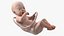 Installation Artificial Uterus