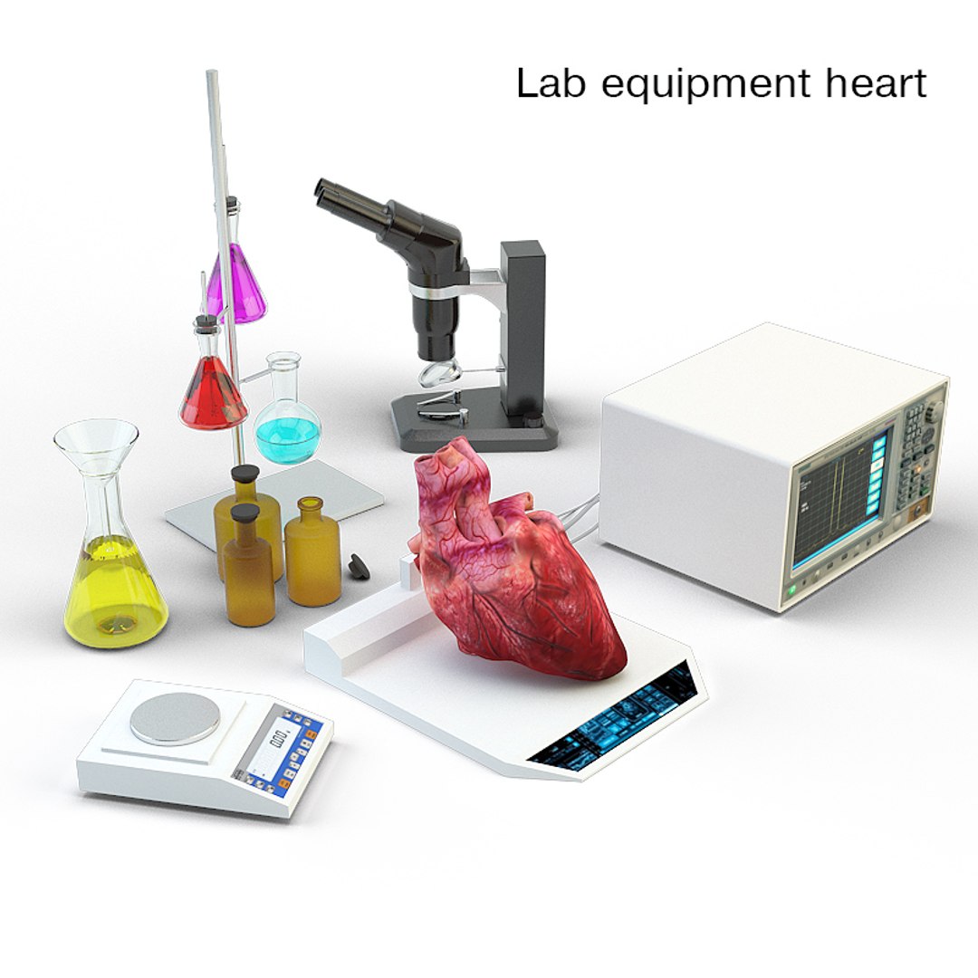 3d max lab equipment heart https://p.turbosquid.com/ts-thumb/AT/nlHxeQ/wgTCphrP/02/jpg/1489872669/1920x1080/fit_q87/7492040e863d43e9d8c953d2e6499b710d9e7bb7/02.jpg