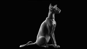 Oriental Cat - 3D Sculpting