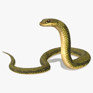 Snake Animated 3D model