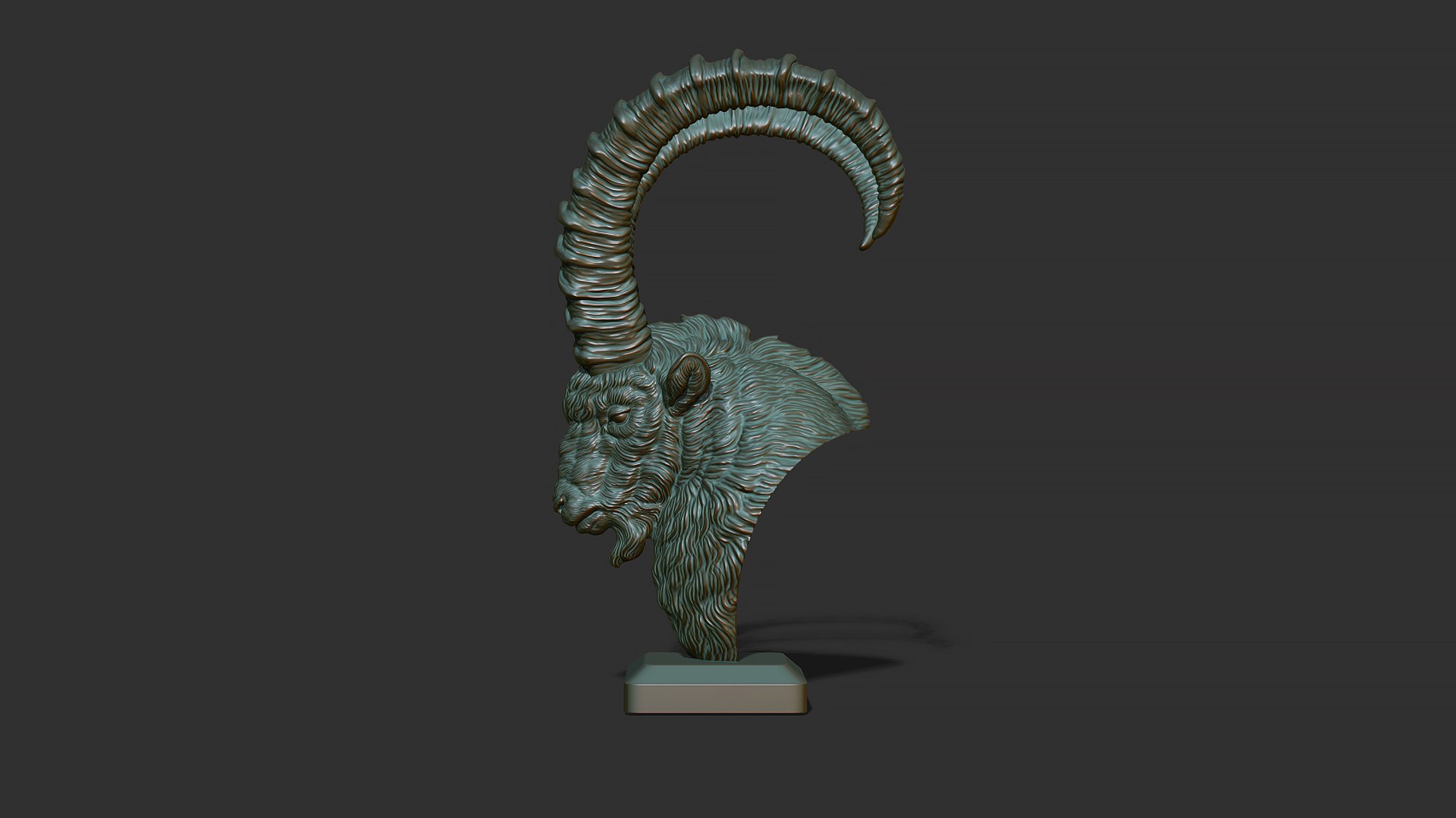 3D Model Nubian Ibex Bust - TurboSquid 2118413