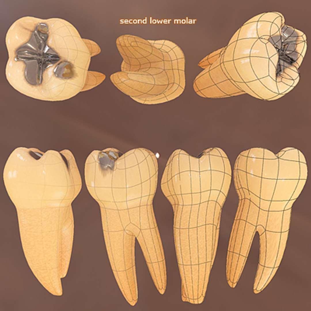 max britney 5 realistic female https://p.turbosquid.com/ts-thumb/AU/QHYygr/l8hn02Cu/10/jpg/1257217927/1920x1080/fit_q87/adf46b0f1ec1721cb74b3a9d81f263c8cc770dff/10.jpg