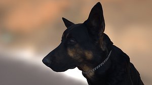 scanned dog - alsatian 3d obj