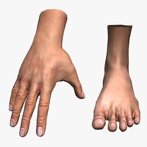 rigged character 3d model
