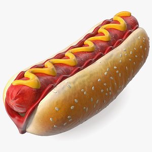 Hot Dog with Ketchup Mustard