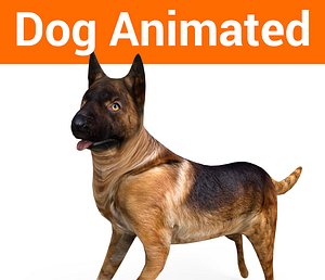 german shepherd dog rigged 3D model