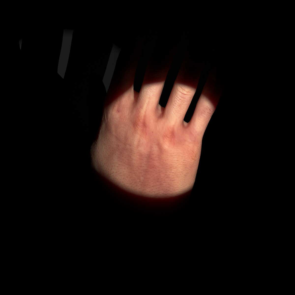 rigged male hand max