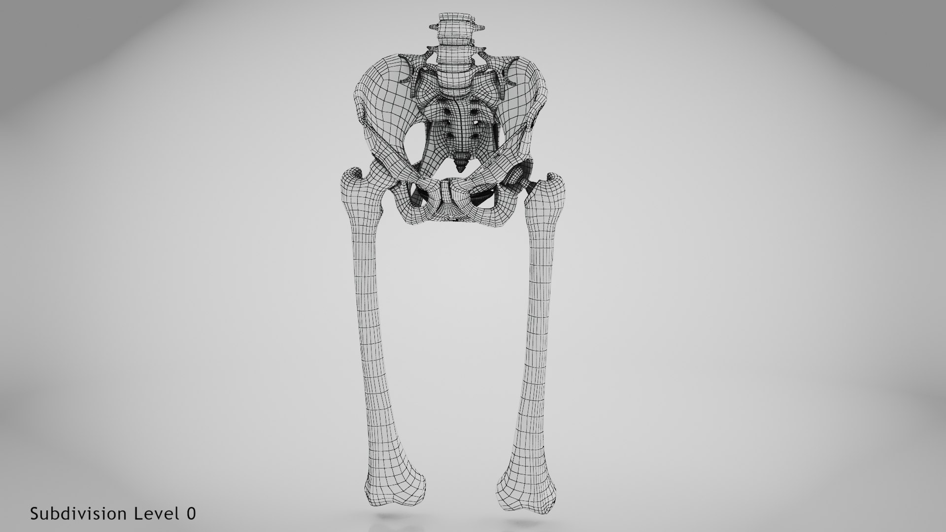 3D Replaced Hip Implant https://p.turbosquid.com/ts-thumb/AU/loYHzG/7a/wire0001copy/jpg/1696274706/1920x1080/fit_q87/fb84935188094e7580e34a989a3325a5bd5e1e1a/wire0001copy.jpg