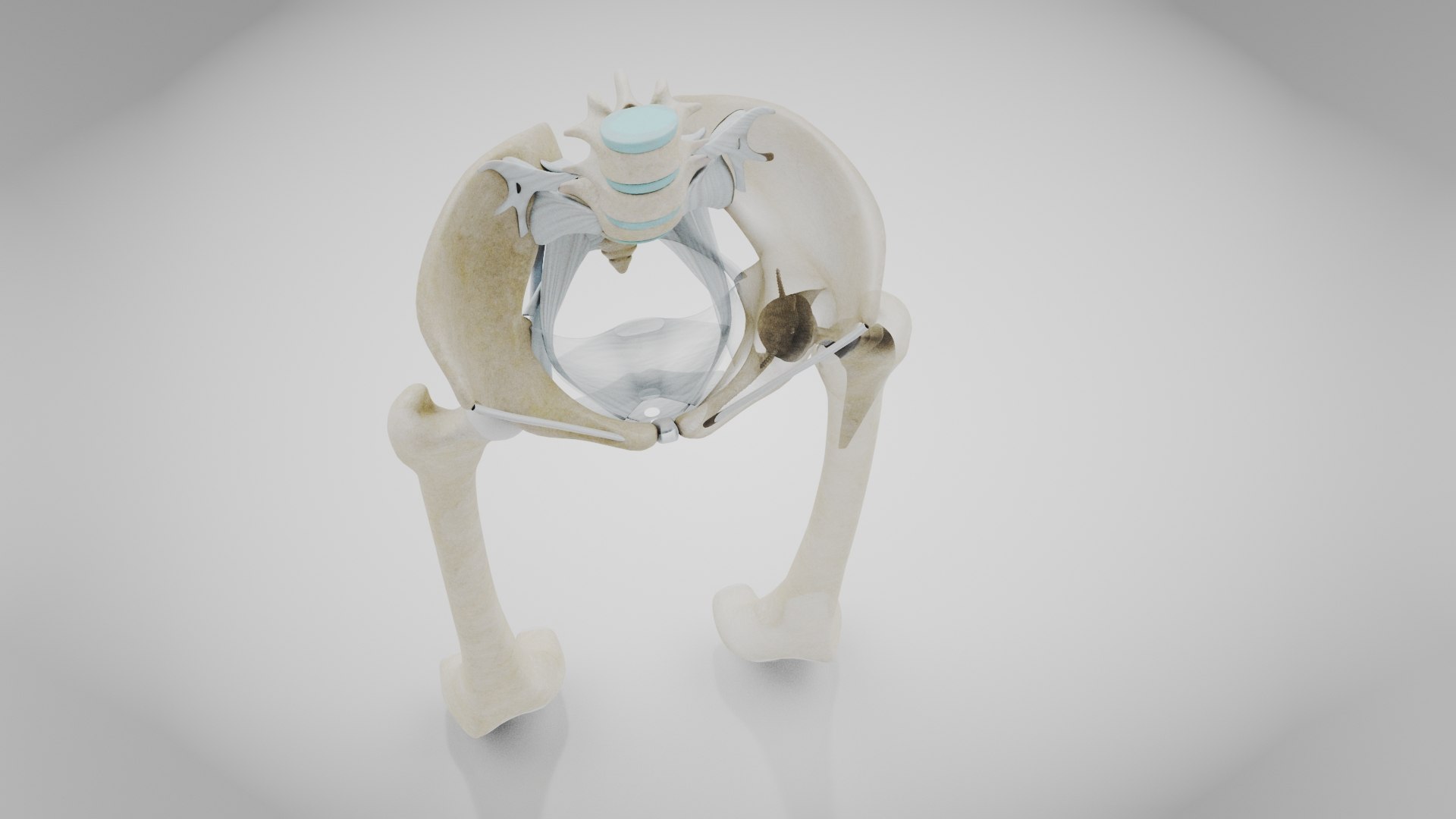 3D Replaced Hip Implant https://p.turbosquid.com/ts-thumb/AU/loYHzG/7n/replaced_hip_implant3/jpg/1696274682/1920x1080/fit_q87/587d30d2653bbdcad79f8e2220c68540e9d38509/replaced_hip_implant3.jpg