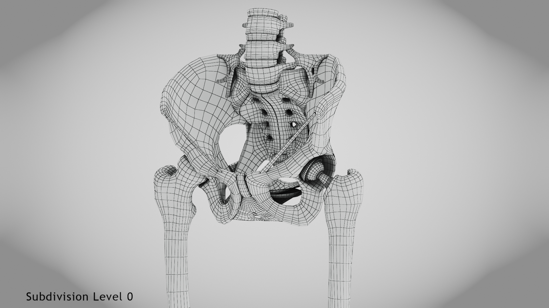 3D Replaced Hip Implant https://p.turbosquid.com/ts-thumb/AU/loYHzG/Kr/w/jpg/1696274557/1920x1080/turn_fit_q99/4fadfa4df94374c82e06895c99cd0ef2b5bf10b4/w-1.jpg