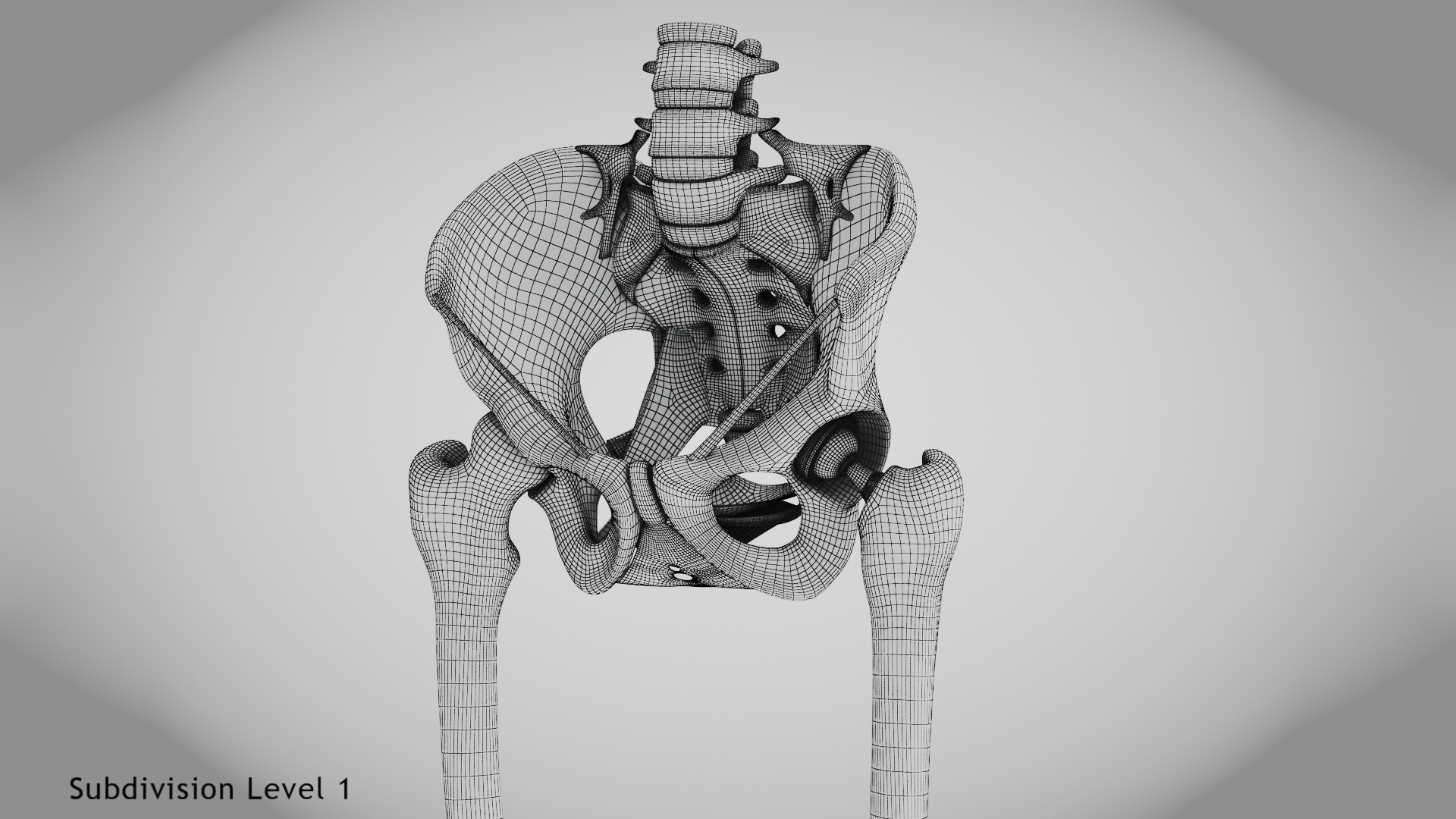 3D Replaced Hip Implant https://p.turbosquid.com/ts-thumb/AU/loYHzG/LG/w/jpg/1696274345/1920x1080/turn_fit_q99/b21d2be10b9ef1f490cd51b227f432a93031d53e/w-1.jpg