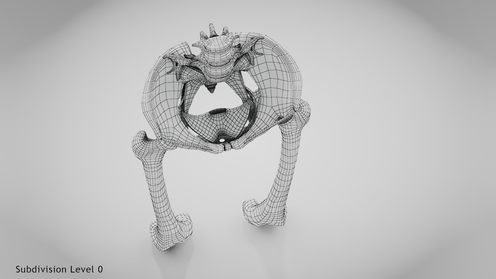 3D Replaced Hip Implant https://p.turbosquid.com/ts-thumb/AU/loYHzG/PC/wire0002copy/jpg/1696274710/1920x1080/fit_q87/50befbfb6aa95116e9132c6d826822f25502bd38/wire0002copy.jpg