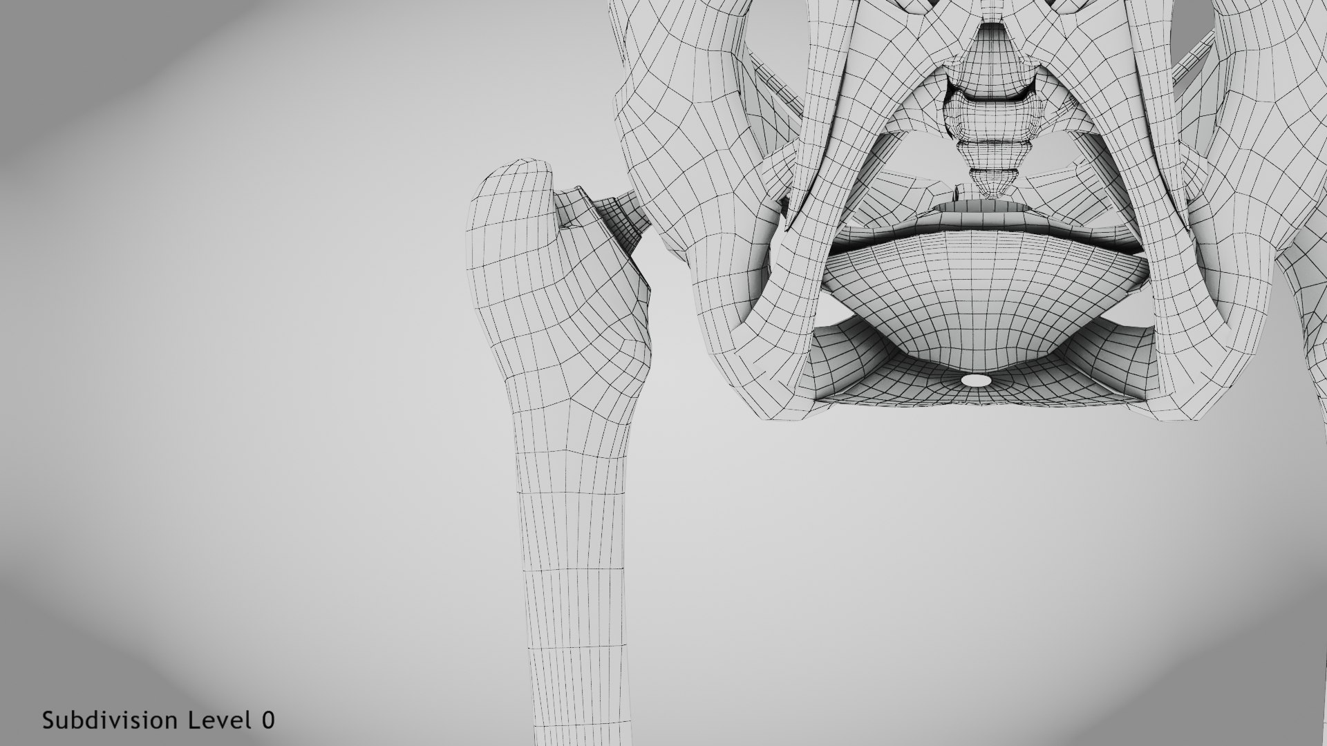 3D Replaced Hip Implant https://p.turbosquid.com/ts-thumb/AU/loYHzG/XD/wire0007copy/jpg/1696274722/1920x1080/fit_q87/cd2ba1354aba9d1597cbbf03b22dbad93ff7cb67/wire0007copy.jpg