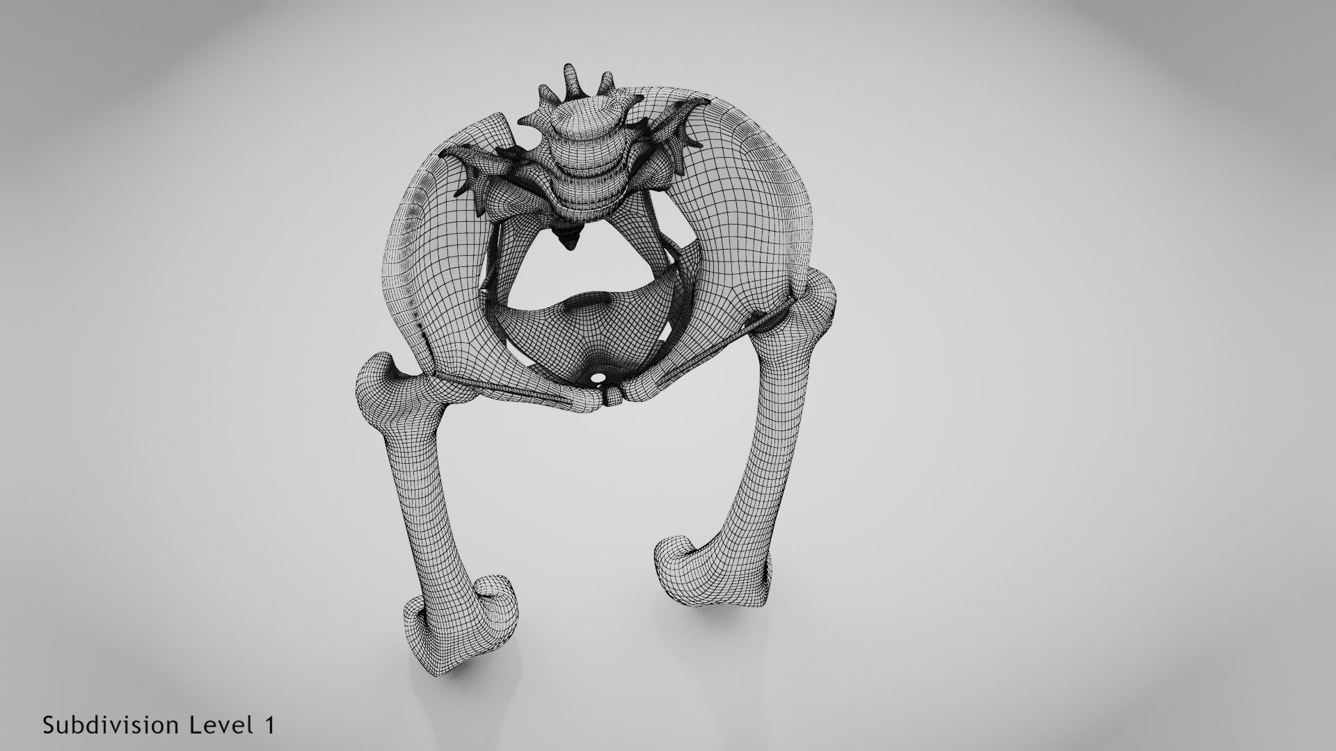 3D Replaced Hip Implant https://p.turbosquid.com/ts-thumb/AU/loYHzG/XJ/wire0002/jpg/1696274711/1920x1080/fit_q87/c13764106991cda0503e3bf5a8453517aae64a64/wire0002.jpg