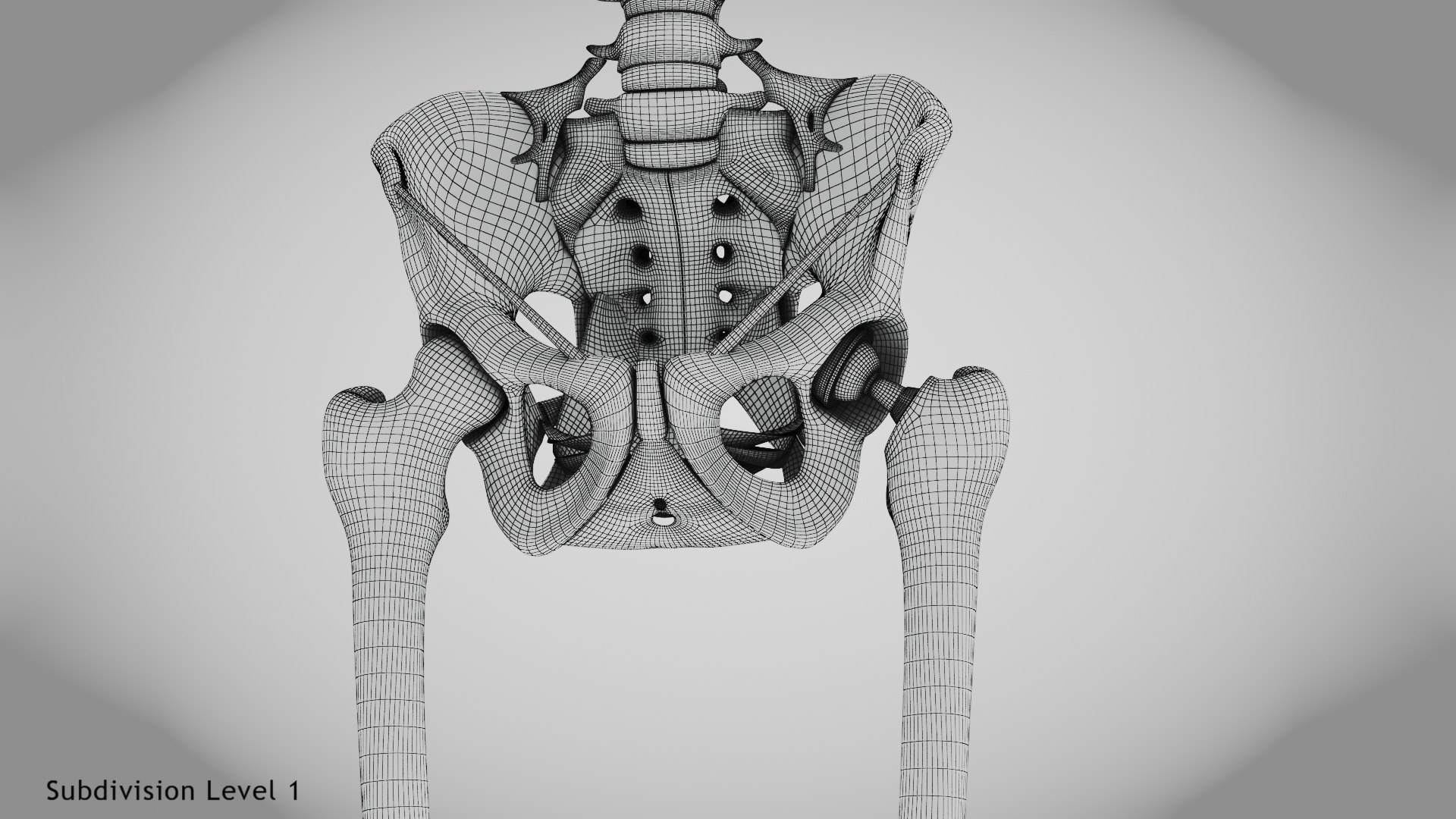 3D Replaced Hip Implant https://p.turbosquid.com/ts-thumb/AU/loYHzG/Zs/wire0000/jpg/1696274702/1920x1080/fit_q87/a3b5d3a9113484021c07b19788ab117ba55a3bb2/wire0000.jpg