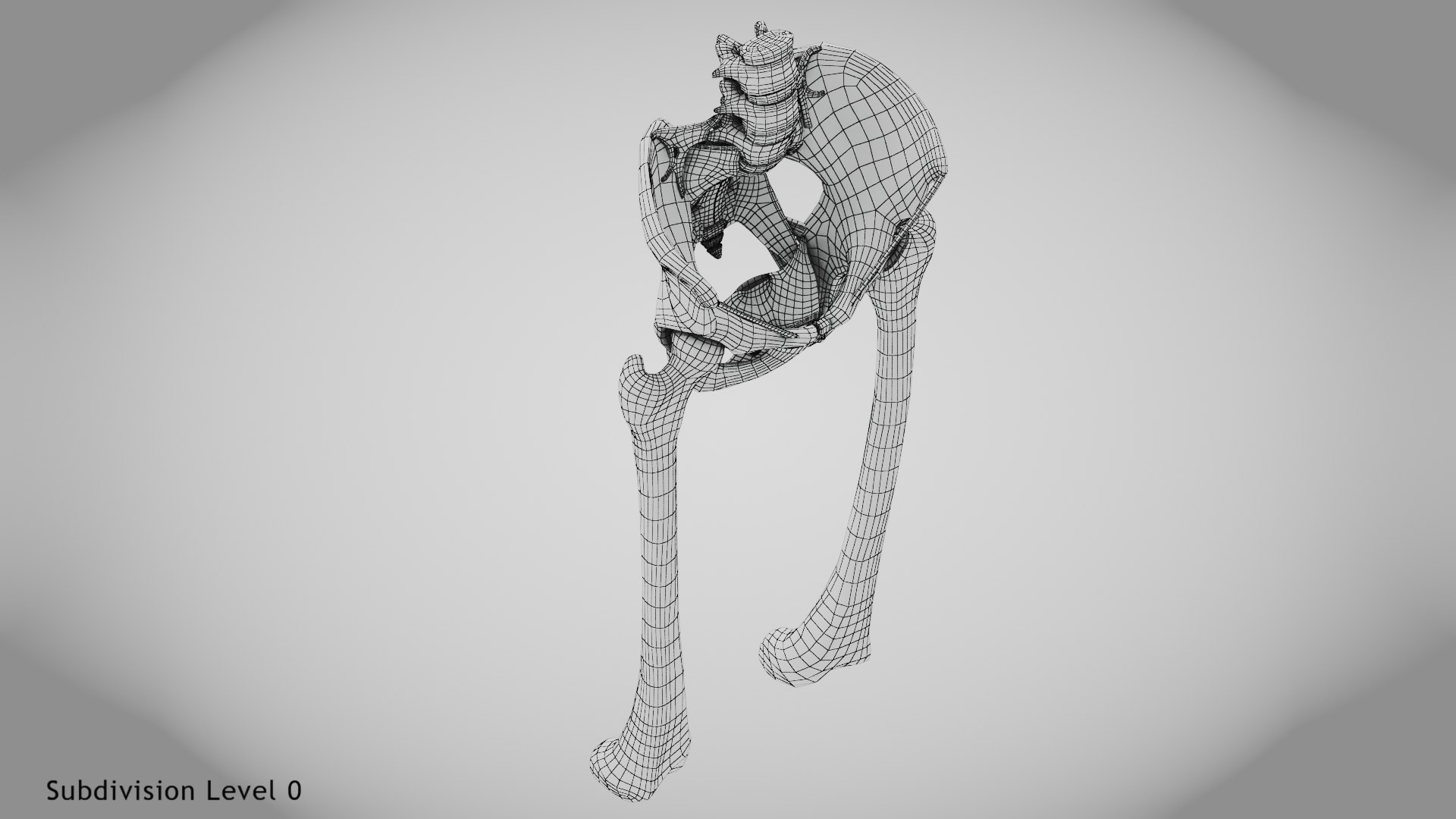 3D Replaced Hip Implant https://p.turbosquid.com/ts-thumb/AU/loYHzG/bC/wire0005copy/jpg/1696274717/1920x1080/fit_q87/87aae232ebbb5540f50d0c4baf1baef45752f5fa/wire0005copy.jpg