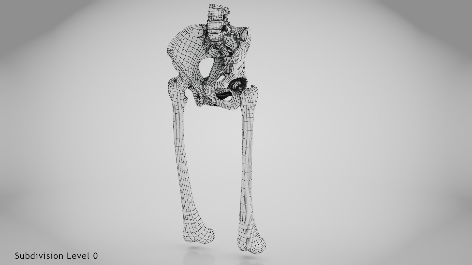 3D Replaced Hip Implant https://p.turbosquid.com/ts-thumb/AU/loYHzG/dL/wire0003copy/jpg/1696274710/1920x1080/fit_q87/4fed7da39f99bce321e241a967e1f5085392b8d5/wire0003copy.jpg