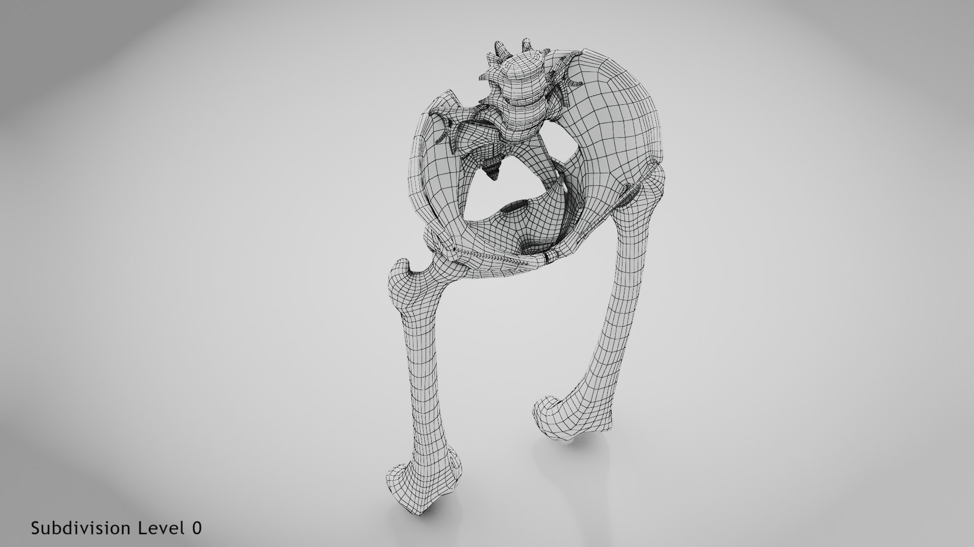 3D Replaced Hip Implant https://p.turbosquid.com/ts-thumb/AU/loYHzG/gv/wire0010copy/jpg/1696274730/1920x1080/fit_q87/90d190eb6576913b19006c1e51d16ab01ddbfd1e/wire0010copy.jpg