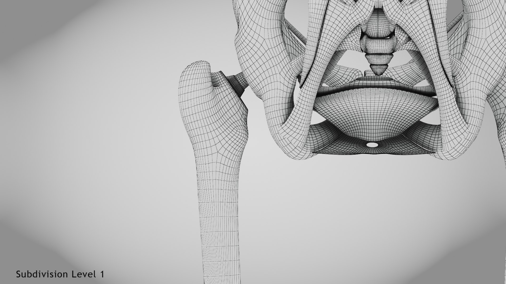 3D Replaced Hip Implant https://p.turbosquid.com/ts-thumb/AU/loYHzG/hl/wire0007/jpg/1696274723/1920x1080/fit_q87/bdb9755eee7e53dd25b68a1c4ba8c87ff61bce28/wire0007.jpg
