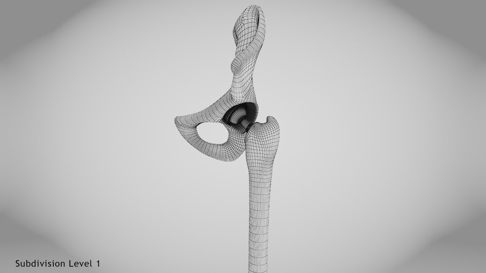 3D Replaced Hip Implant https://p.turbosquid.com/ts-thumb/AU/loYHzG/sL/wire0009/jpg/1696274728/1920x1080/fit_q87/68a7864ec45e2d06cc1d465be91c1aac13edb618/wire0009.jpg