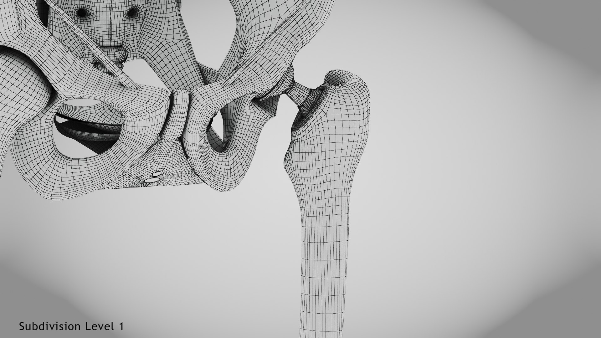 3D Replaced Hip Implant https://p.turbosquid.com/ts-thumb/AU/loYHzG/ts/wire0006/jpg/1696274721/1920x1080/fit_q87/e5e93119b3b090aa8a7b698c11e62da2933b5a5b/wire0006.jpg