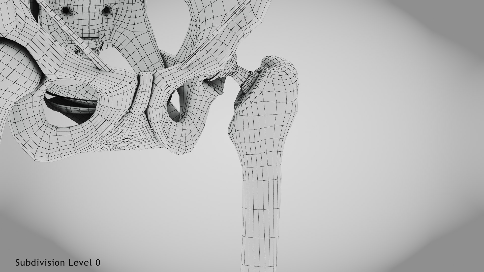 3D Replaced Hip Implant https://p.turbosquid.com/ts-thumb/AU/loYHzG/v0/wire0006copy/jpg/1696274719/1920x1080/fit_q87/0d325d605eeafa417691158b14c9f37e2b5898a4/wire0006copy.jpg