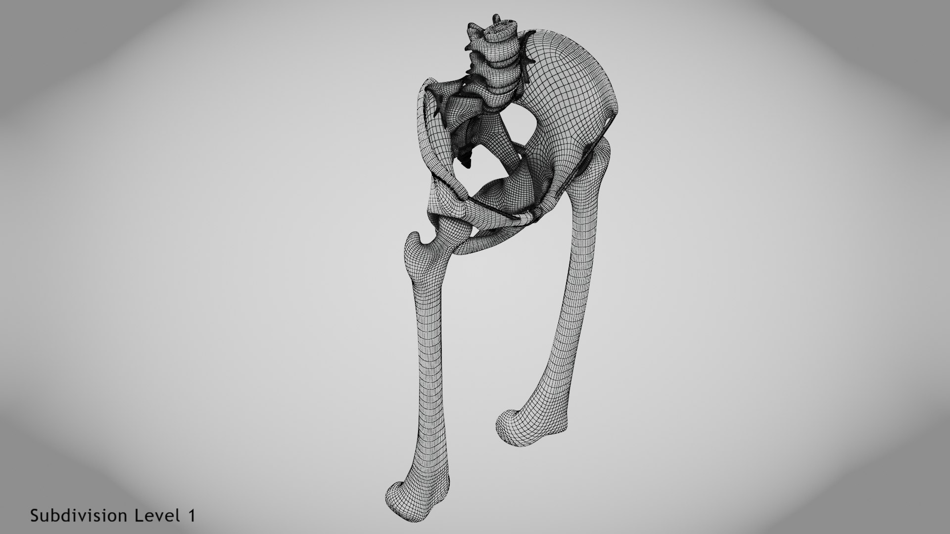 3D Replaced Hip Implant https://p.turbosquid.com/ts-thumb/AU/loYHzG/zq/wire0005/jpg/1696274718/1920x1080/fit_q87/54e497a4f5011faa98ef6b891b8de53b736f4de0/wire0005.jpg