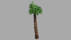 3D Palm