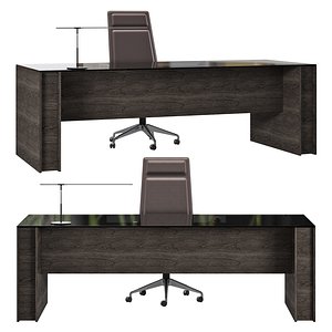gallotti and radice milano desk 3D model
