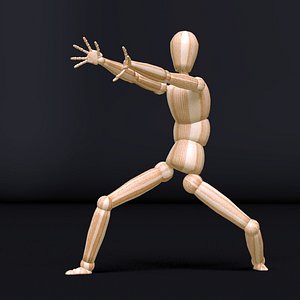 3D mannequin rig
