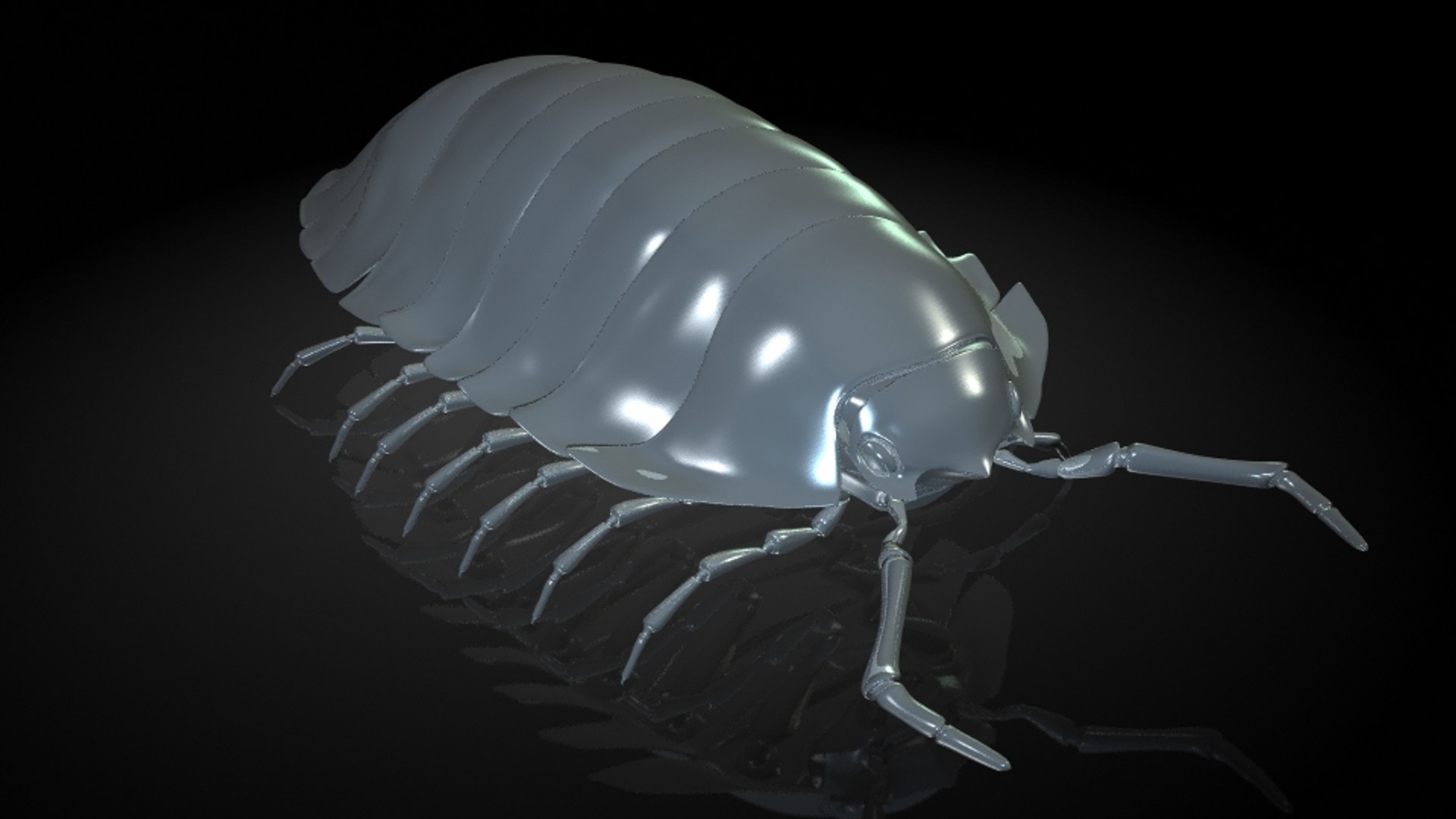 Insect Model - TurboSquid 1214948