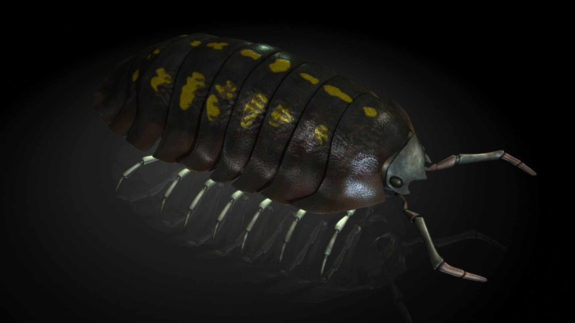 Insect Model - TurboSquid 1214948
